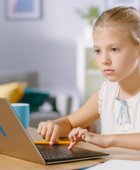 Получаем качественное школьное онлайн образование