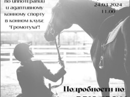 Семинар по иппотерапии и адаптивному конному спорту в конном клубе Громотуха