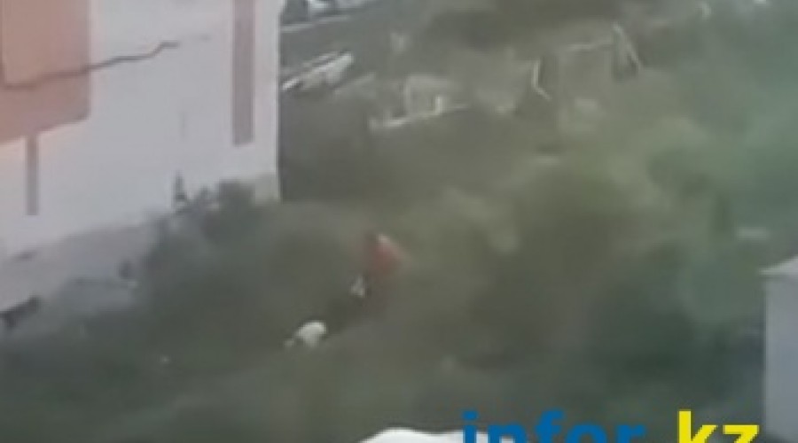 Жители Риддера засняли на видео, как мужчина пытается закопать труп у жилой многоэтажки