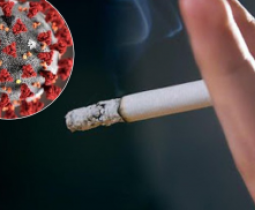 Курение оказалось фактором осложнений и смерти при коронавирусе