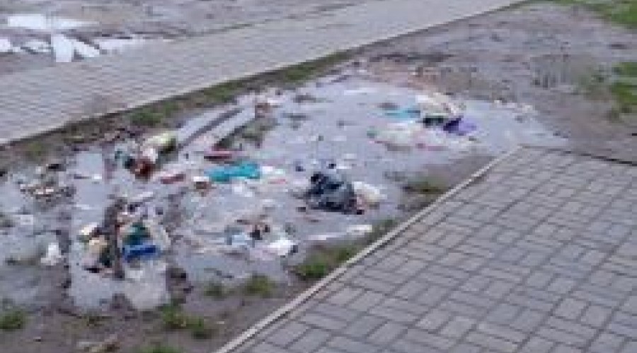 За текущий год жители Риддера заплатили штрафы за то что мусорили на улицах в размере пяти миллионов тенге