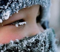 При каких погодных условиях отменяются занятия в учебных заведениях ВКО