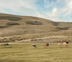 В Антикоре заявили о мнимой видимости экологического благополучия в ВКО