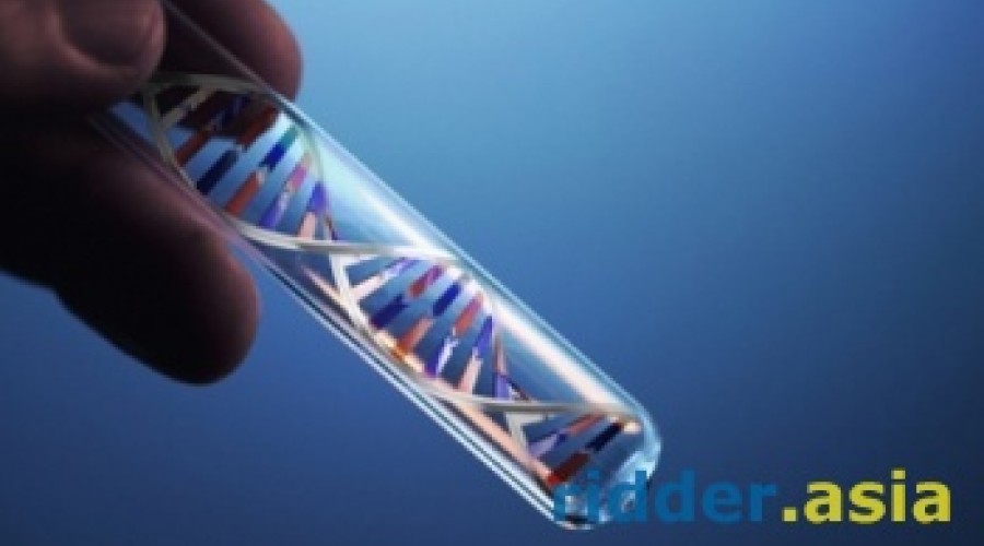 В ВКО анализ ДНК помешал взыскать алименты