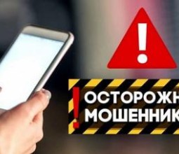 Участились случаи телефонного мошенничества в Риддере