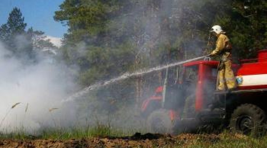 Жителям ВКО хотят запретить находиться на территории лесного фонда в пожароопасный сезон