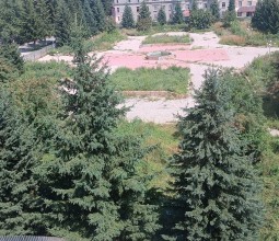 Сроки начала благоустройства в сквере Тайшибаева в Риддере все еще неизвестны