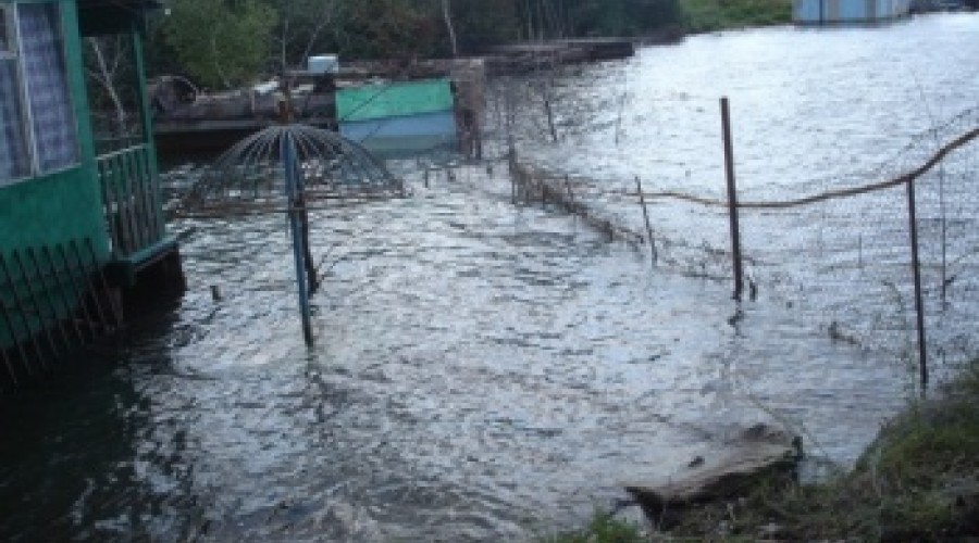 Отдыхающие на Бухтарминском водохранилище массово заражаются кишечными инфекциями, возможно, из-за попавших в воду фекальных стоков