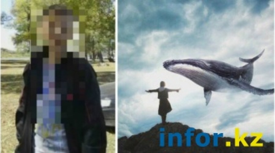 Житель Алматы разоблачил куратора группы Синий кит из Семея