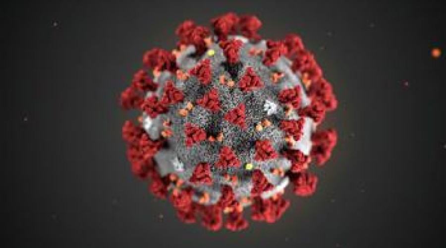 Reuters: инкубационный период при заражении новым коронавирусом может достигать 27 дней