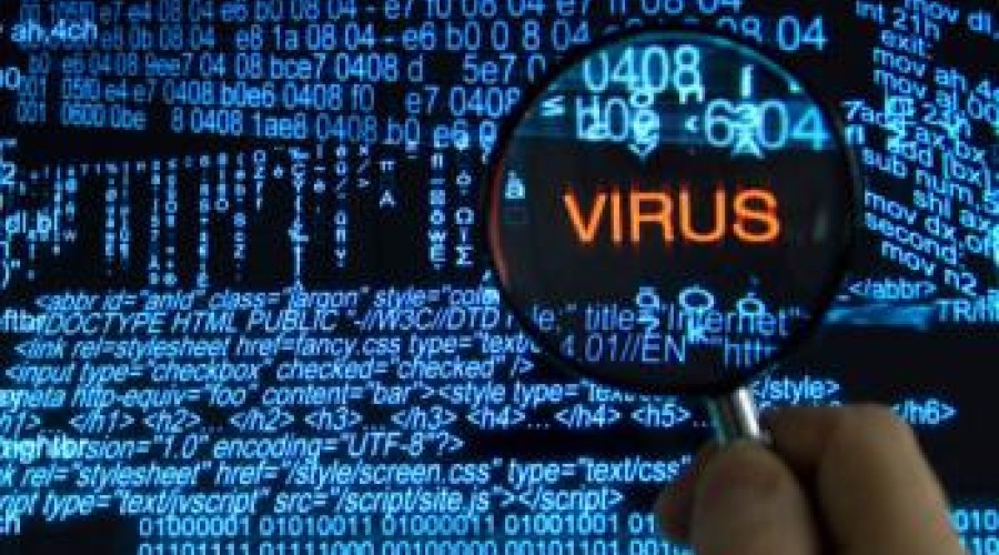 Виды компьютерных вирусов