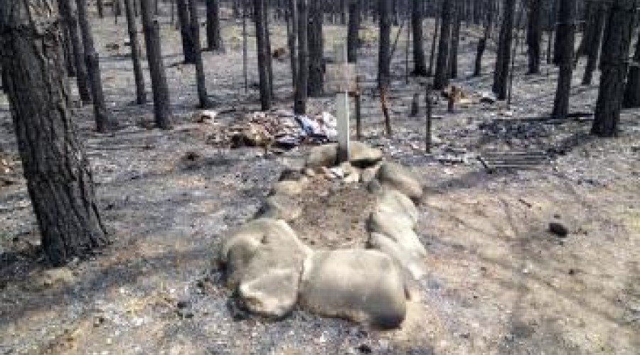 Находки в лесу после пожара: сгоревшая избушка и неизвестная могилка