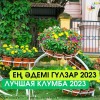 Лучшая клумба 2023