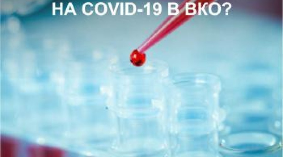 Что скрывают частные лаборатории, проводящие ПЦР-тестирование на COVID-19 в ВКО?