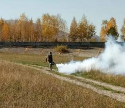 В Риддере ведется обработка территорий против клещей