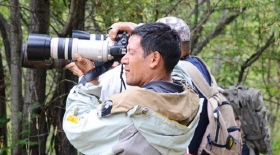 В ВКО туристам предлагают орнитологические туры