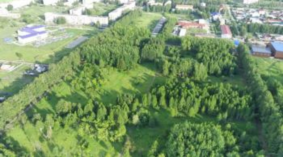 Лес рубят, щепки летят: в Риддере на месте уникального дендропарка хотят построить школу