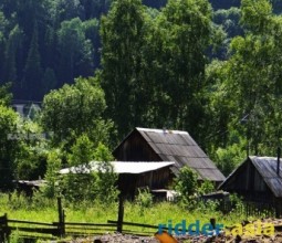 Лесник почти не виден, или Зайчики и живчики темного леса