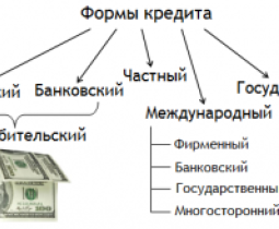 Какие бывают виды кредитов