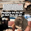 4.02 Команда специалистов по ремонту выхлопных систем в Риддере!