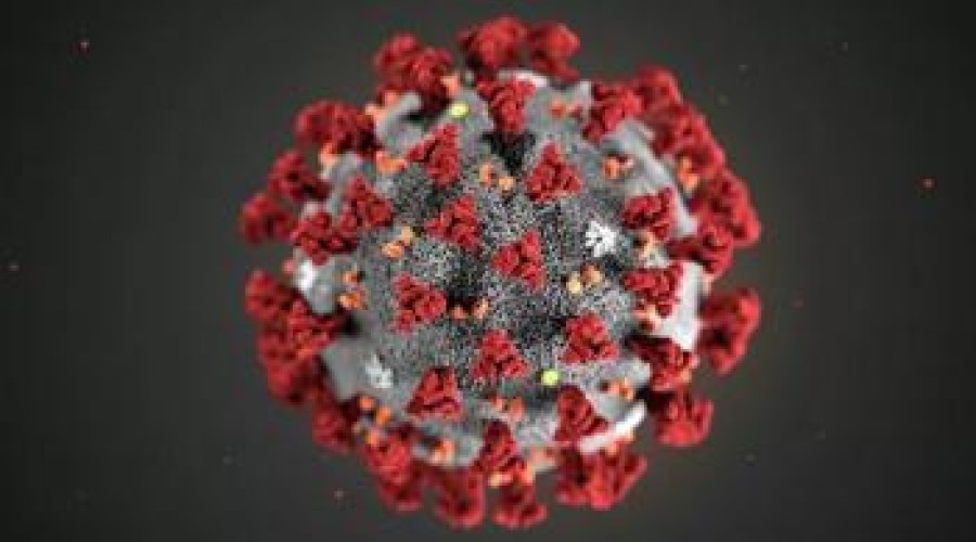 Cколько живет в воздухе коронавирус?
