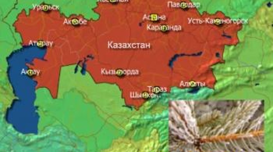 Авторитетные источники о погоде в Казахстане