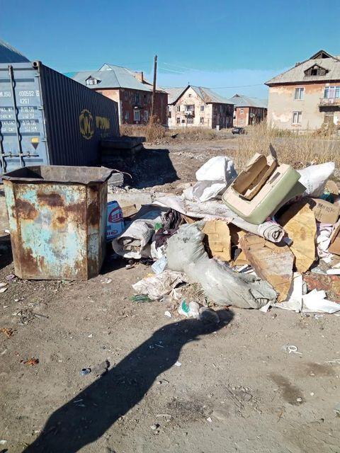 Жители Риддера негодуют по поводу свалок на мусорных площадках и не только...