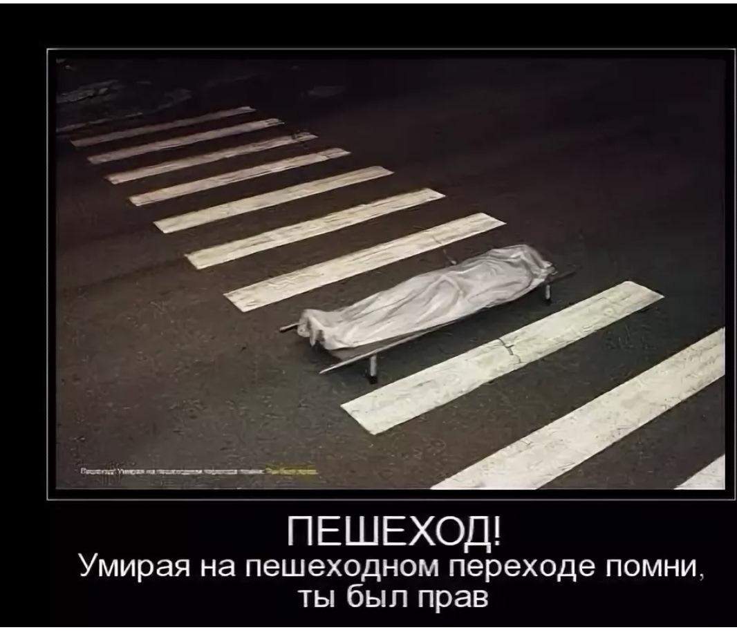 Пешеходам несознательным от водителей и сознательных пешеходов...